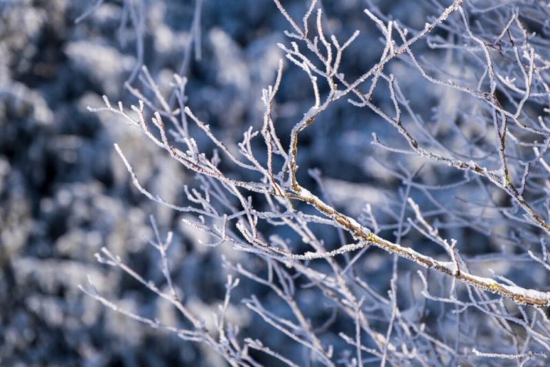 December 31-én az időjárás sok meglepetést tartogathat számunkra. A hónap végére jellemzően hideg idő várható, de a csapadék mértéke és típusa változó lehet. Lehet, hogy hóesés borítja be a tájat, ami varázslatos téli hangulatot teremt, vagy esetleg esőre