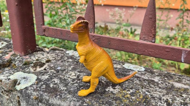 Egy különleges, sérült dinoszaurusz várja elhagyott gazdáját a zalai kerítés mellett, remélve, hogy valaki rátalál és újra otthonra talál.