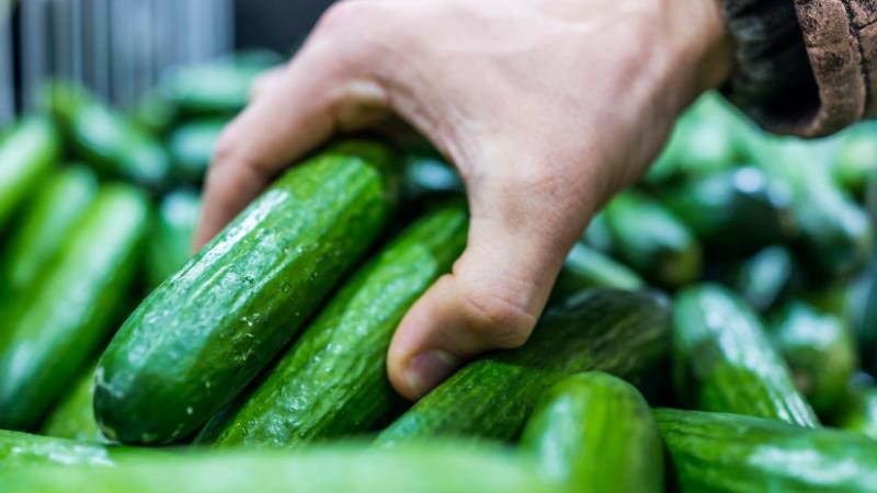 Újabb áremelkedés: meglepően magasra szökik ennek a zöldségnek az ára számos piacon - Agro Napló