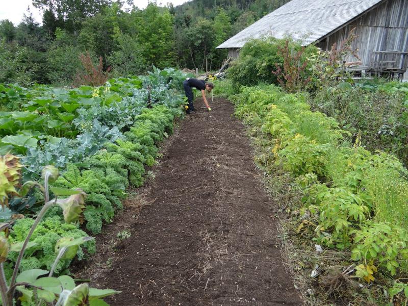 Az Ökológiai Mezőgazdasági Kutatóintézet (ÖMKi) új, izgalmas agrárgazdasági kutatásba kezd, amelyet a Magyar Nemzeti Vidéki Hálózat támogat. Ez a kezdeményezés célja, hogy mélyebb megértést nyerjünk a fenntartható mezőgazdasági gyakorlatok és azok gazdasá