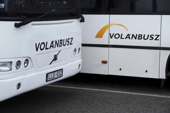 A tűző nap alatt, árnyék és mosdó hiányában várakozik a Lázár János által megbízott buszsofőrök egy csoportja.