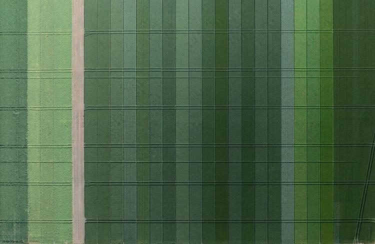 Fenntartható termesztéstechnológiai megoldások a kalászos növények esetében - Agrárágazat

A kalászos növények termesztése során a fenntarthatóság kiemelt szerepet kap. A modern agrárágazat számára elengedhetetlen, hogy olyan innovatív megoldásokat alkalm