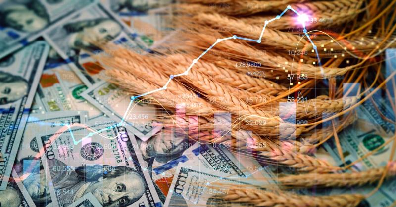BRICS gabonakereskedelem: A magyar exportpiac is meginoghat tőle

A BRICS országok közötti gabonakereskedelem új dimenziókat nyithat meg, és ennek következményei a magyar exportpiacra is hatással lehetnek. A növekvő kereskedelmi kapcsolatok és a piaci tre