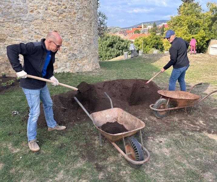 Az újabb együttműködés keretein belül a Biokom és a Körber közösen nekilátott az alagút feletti új park kialakításának. A projekt célja, hogy egy zöld oázist teremtsenek a város szívében, amely nemcsak esztétikai értéket képvisel, hanem a közösségi életet