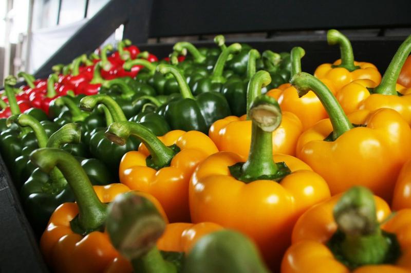 Paprika: Az új szezon sztárja – Természetes védelem a hideg időszakban - Magyar Mezőgazdaság

A paprika nem csupán ízletes kísérője ételeinknek, hanem a hideg hónapokban is megállja a helyét, mint természetes védelmi megoldás. Fedezd fel, hogyan kínálhat 